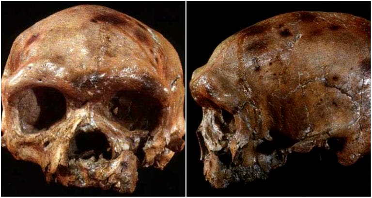 Ancient Skull Found in China Suggests Modern Humans May Have Originated in Asia