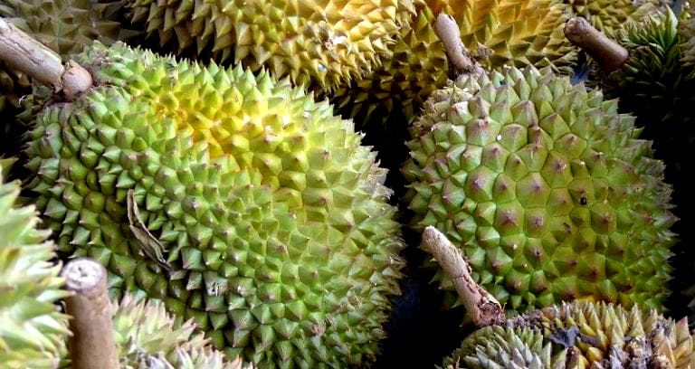 Malaysia is Now Investigating If Durians Can Improve Your Sex Life