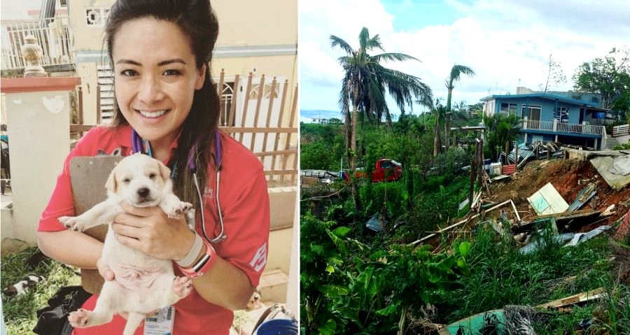 Doctor Goes to Help Puerto Rico, Discovers the Disaster is Much Worse in Person
