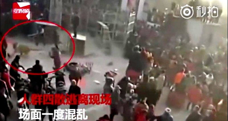 Traveling Circus Accidentally Unleashes Angry Tiger on Unsuspecting Crowd in China