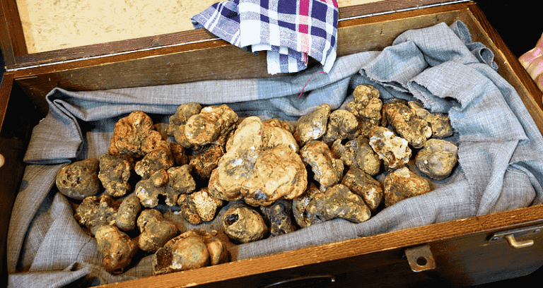 Hong Kong Man Pays $96,000 for White Truffle at Auction in Italy