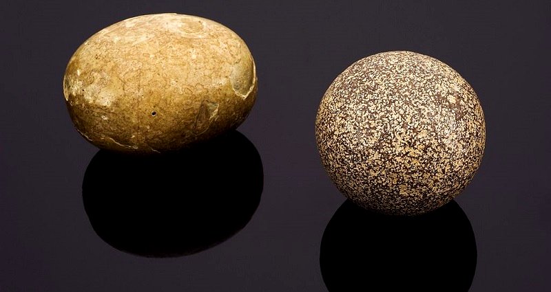 Chinese Farmer Finds Pig Gallstone Worth $605,000