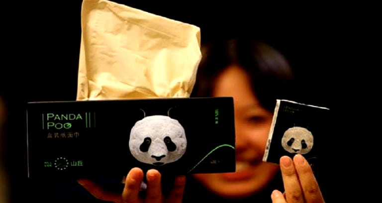 Chinese Company Sells Tissue Paper Made From Panda Poop