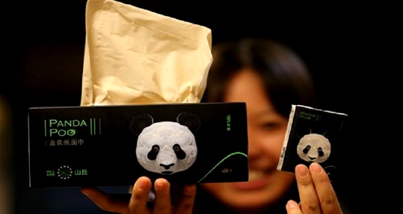 Chinese Company Sells Tissue Paper Made From Panda Poop