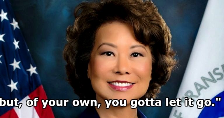 Elaine Chao Thinks Women Who Are Harassed In The Workplace Need To ‘Let It Go’