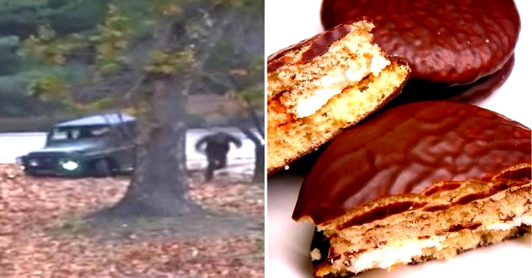 Escaped North Korean Soldier Gets a Lifetime Supply of Choco Pies on One Condition