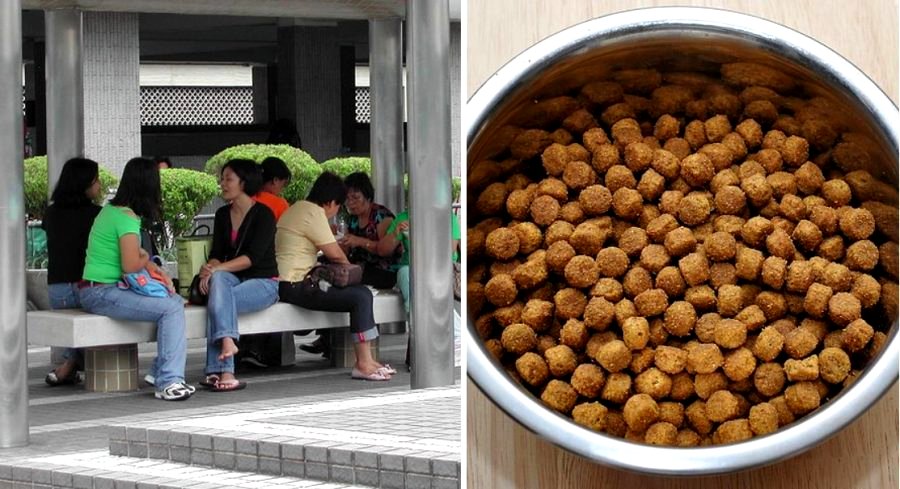 Enslaved Filipino Helper Forced to Eat Dog Food to Survive Working in Brazil