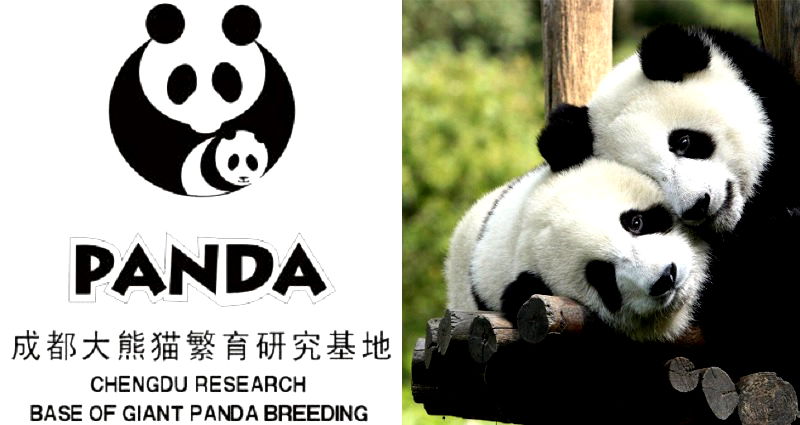 China Will Award $15,400 for the Best Giant Panda Logo For New Park