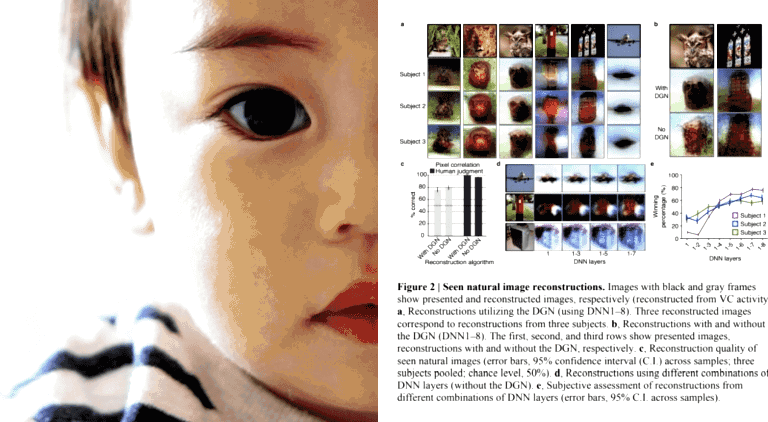 Japanese Scientists Just Used AI to Read Minds and We Are Scared AF