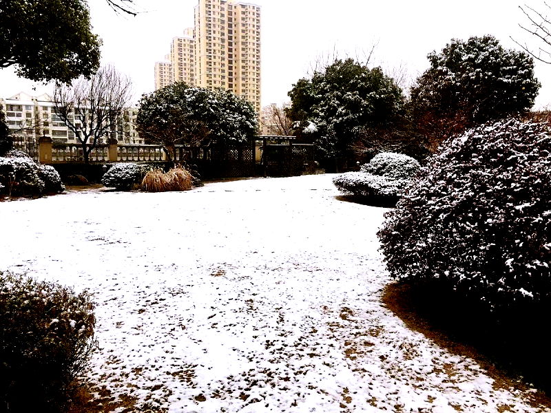 Snow in China