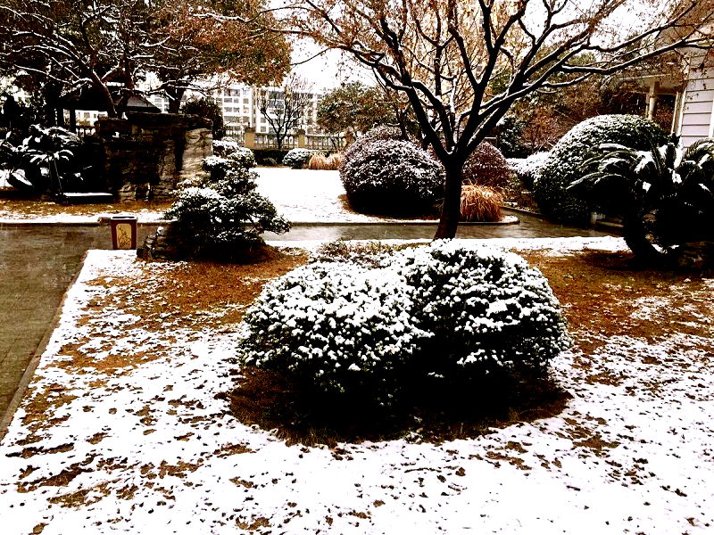 Snow in China