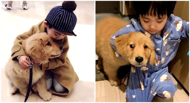 Adorable Korean Boy and His Golden Retriever Are Inseparable