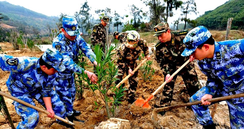 China Orders Army of 60,000 Soldiers to Plant Trees Around Beijing