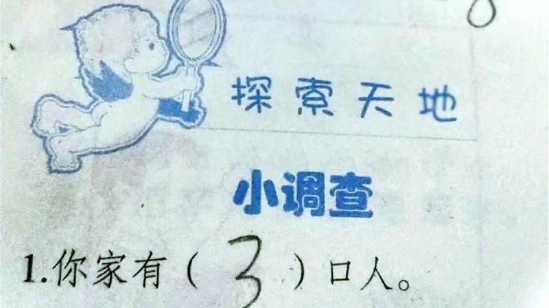 Chinese homework