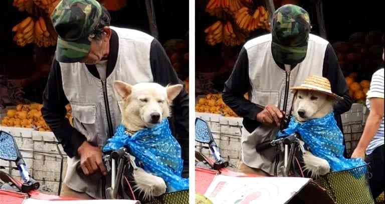 Elderly Filipino Adorably Dresses Up Dog To Protect Him from the Rain
