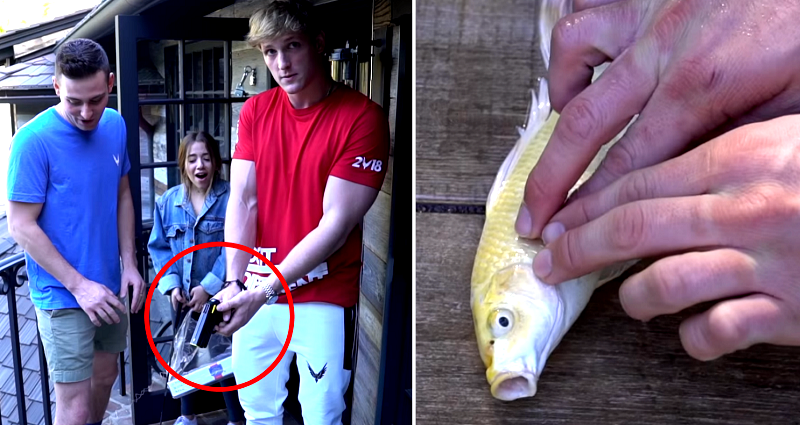 Logan Paul Has Finally Done Something Unforgivable in YouTube’s Eyes