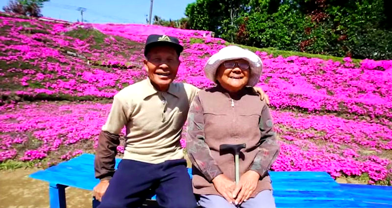 She Lost Her Eyesight, So Her Husband Planted Thousands of Flowers for Her to Smell