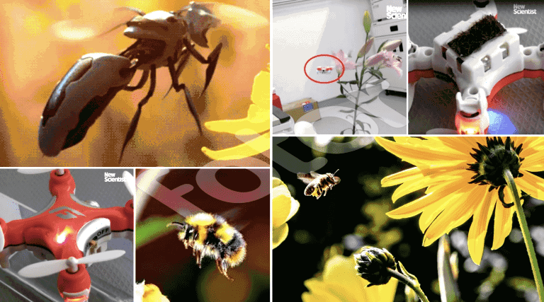 Scientists Create ‘Drone Bees’ That Can Actually Pollinate Flowers