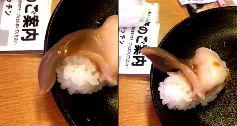 Someone’s Sushi Came Alive and Tried to Escape at a Revolving Sushi Joint