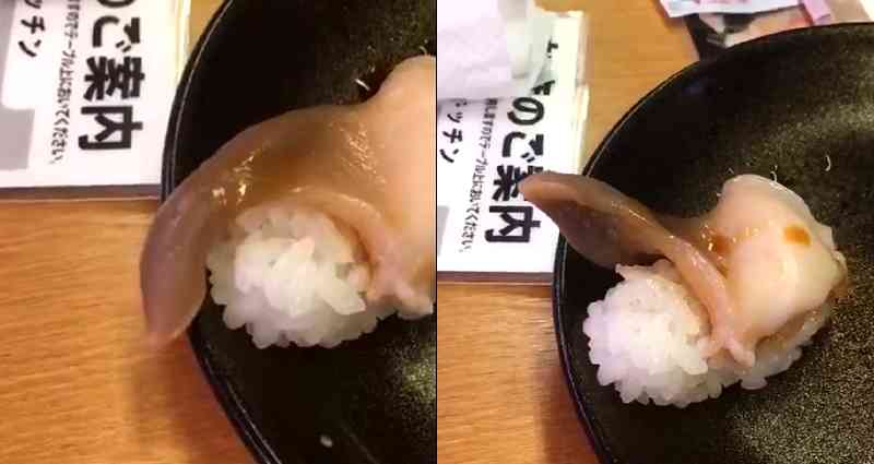 Someone’s Sushi Came Alive and Tried to Escape at a Revolving Sushi Joint