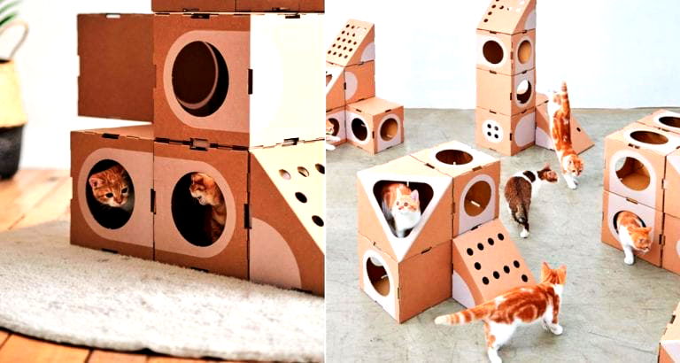 Taiwanese Couple Creates Awesome Cardboard Cat Forts That Cats Go Crazy For