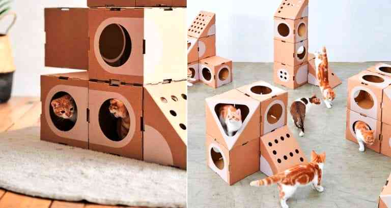 Taiwanese Couple Creates Awesome Cardboard Cat Forts That Cats Go Crazy For