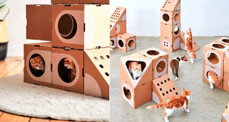 Taiwanese Couple Creates Awesome Cardboard Cat Forts That Cats Go Crazy For