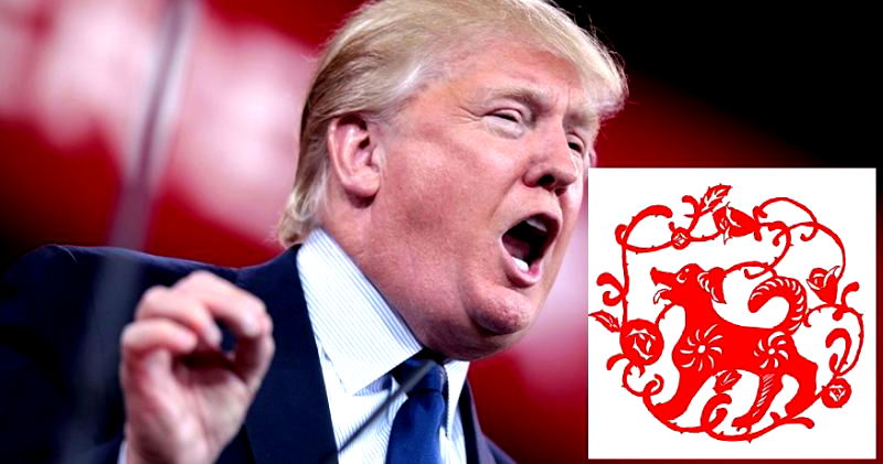 ‘Fire Dog’ Donald Trump is in for a Rough Year According to His Chinese Zodiac