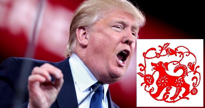 ‘Fire Dog’ Donald Trump is in for a Rough Year According to His Chinese Zodiac