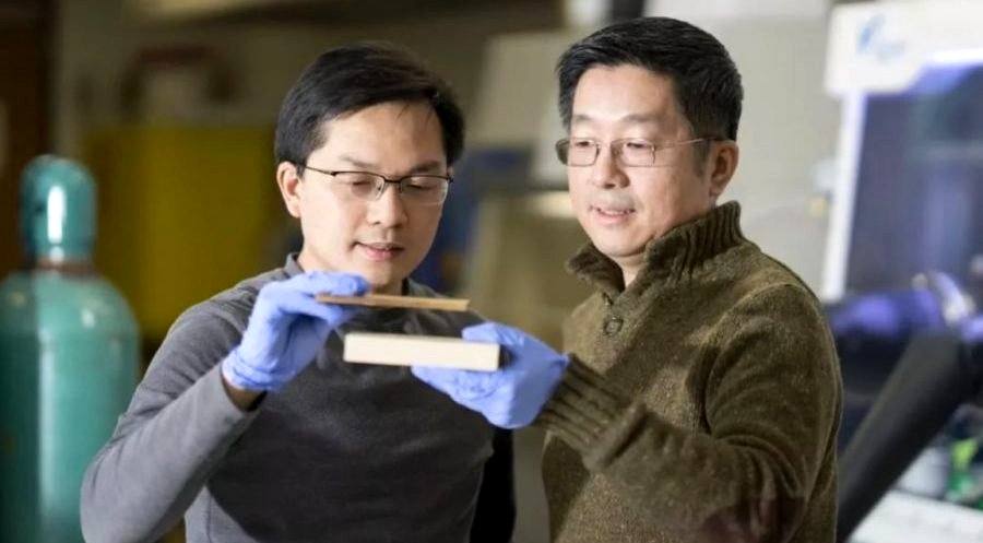 These Scientists Just Invented Wood as Strong as Steel