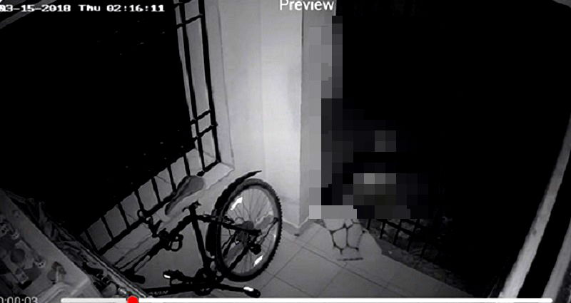 Man in India Installs Camera to Catch ‘Doormat Thief,’ Shocked By What He Finds