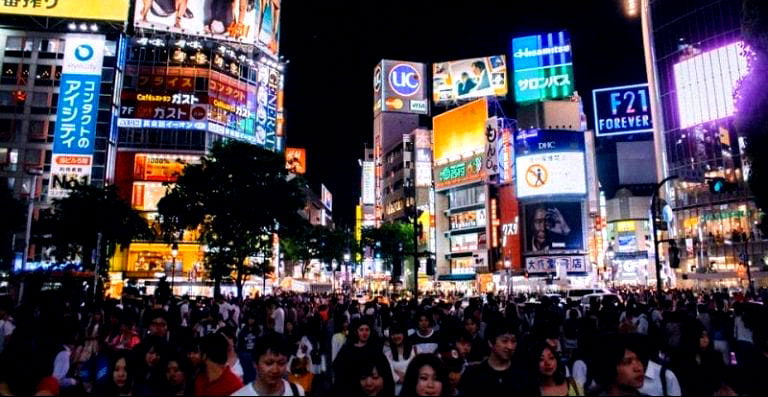 Exterminators Find Bottles of Preserved Dead Babies Beneath Floorboards in Tokyo Home