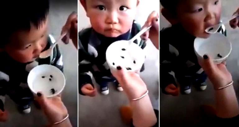 Chinese Mother Feeds Live Tadpoles to Her Son Thinking It is Healthy – Science Greatly Disagrees