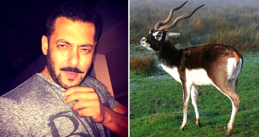 Bollywood Star Gets 5 Years in Jail for Shooting Endangered Antelope in India