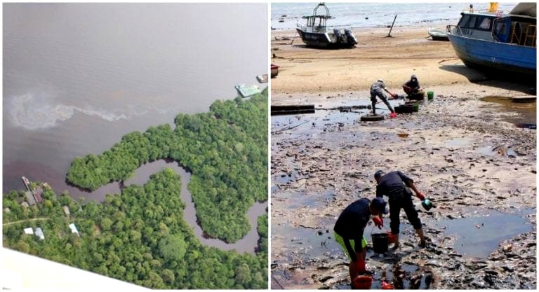 Indonesian Company Admits to Causing Oil Spill the Size of Paris in Borneo