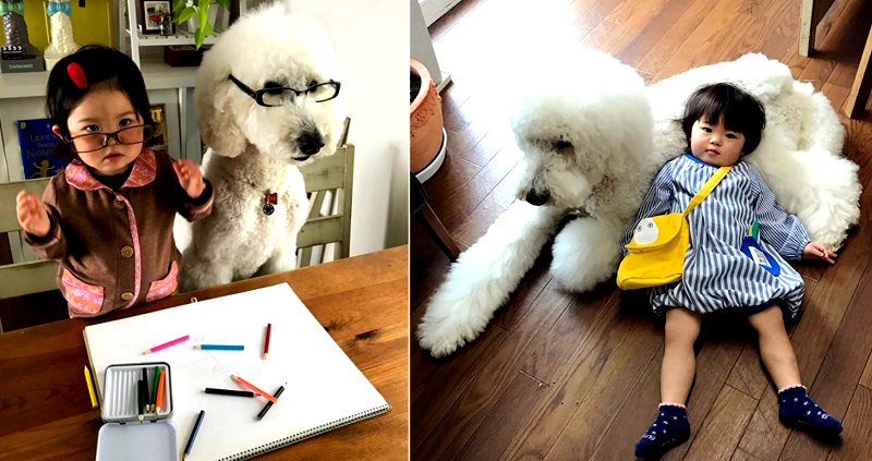 This Little Girl and Her Giant Poodle are Everyone’s #FriendshipGoals