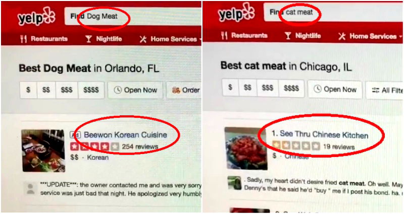 Yelp Shows Asian Restaurants When You Search for Dog and Cat Meat