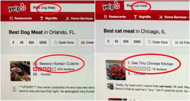 Yelp Shows Asian Restaurants When You Search for Dog and Cat Meat