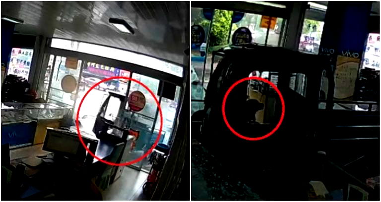 Dog Bamboozles Shopkeepers in China By Driving Truck into Their Store