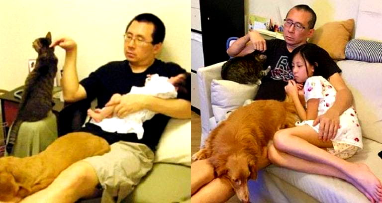 Hong Kong Dad Takes the Same Adorable Picture With Daughter, Cat, and Dog for 10 Years