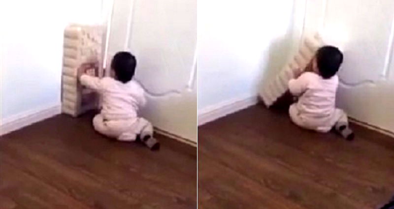 Toddler Fighting a Pack of Toilet Paper Rolls is Basically Us Versus Life