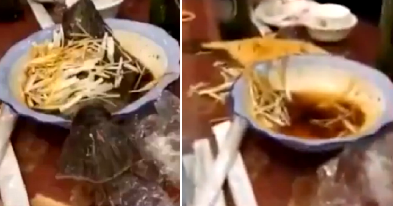 Chinese Diners Freak Out After Cooked Fish Leaps Off Plate at Restaurant
