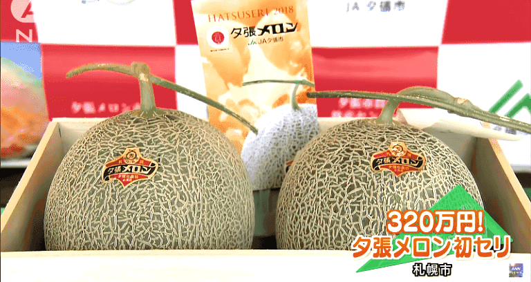 Japanese Businessman Buys a Pair Of Premium Melons For $30,000