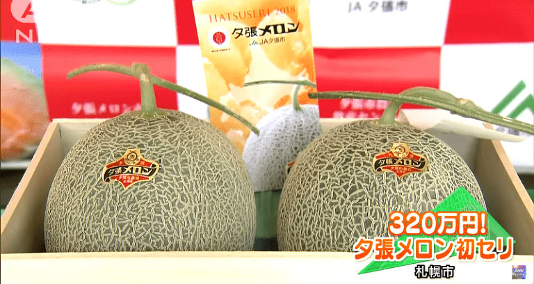 Japanese Businessman Buys a Pair Of Premium Melons For $30,000