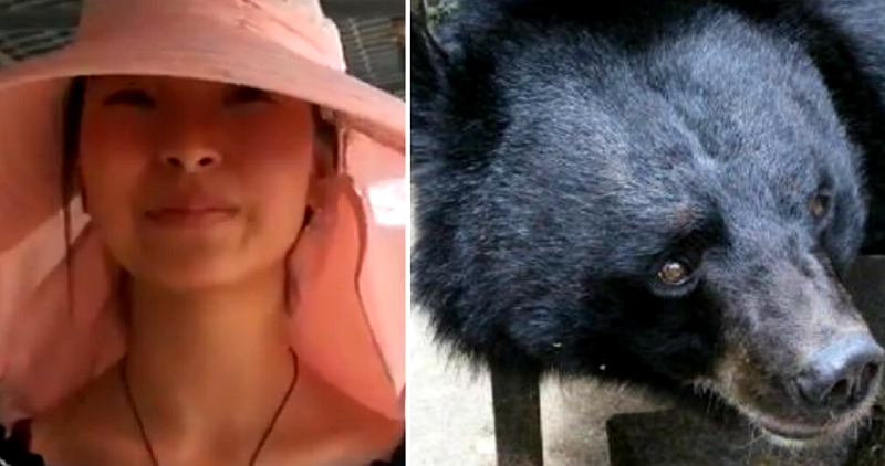 Chinese Woman’s Adorable ‘Puppy’ Grows Up Into a 440 Pound Bear