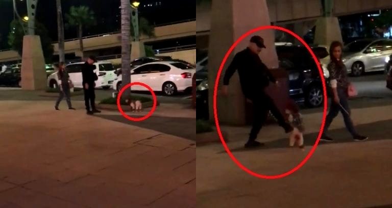 Poodle Being Kicked and Forced to Walk on Hind Legs Goes Viral in Malaysia, Sparks Outrage