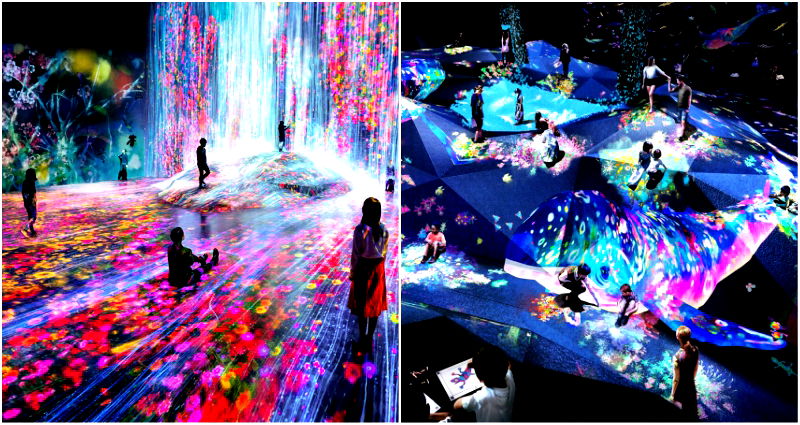 New Museum in Japan Might Be the Coolest Place to Go to on LSD