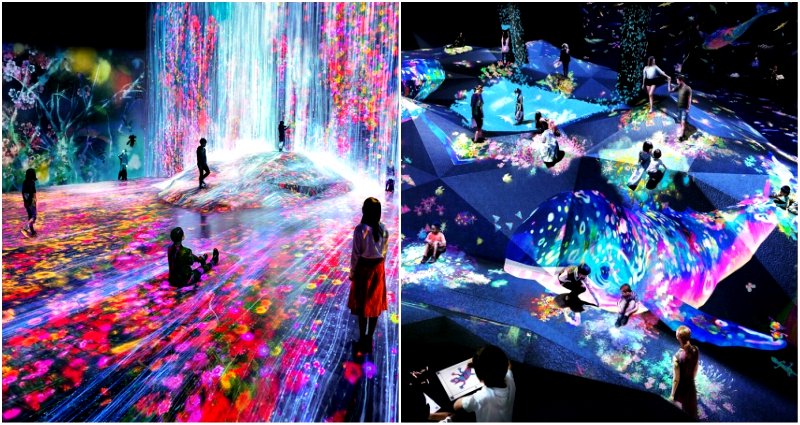 New Museum in Japan Might Be the Coolest Place to Go to on LSD