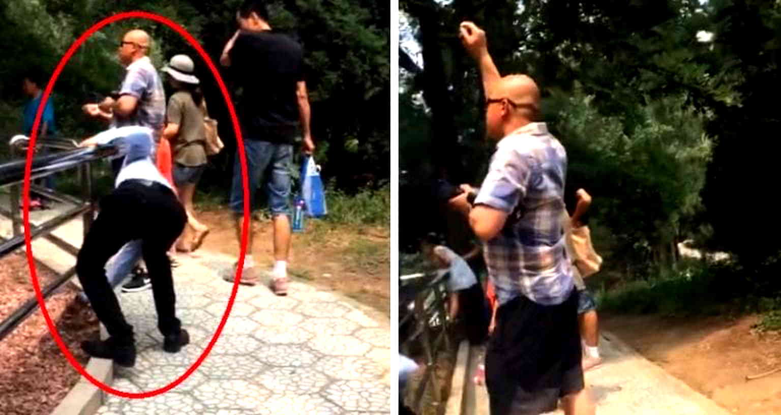 Zoo Visitors in Beijing Caught on Video Throwing Rocks at a Tiger to ‘Make It Move’