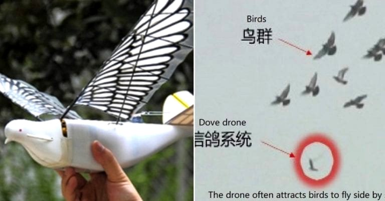 China Now Has Stealth Bird Drones to Spy on Its People